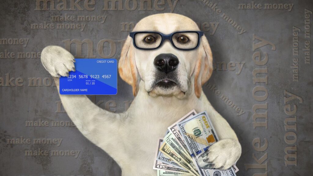 Capital One Discounts For Animal Behavior College
