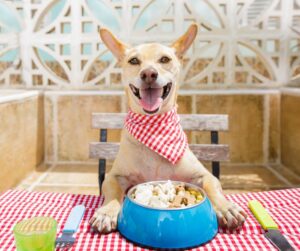 Chipotle discounts for Animal Behavior College